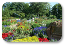 Rosengarten in Zweibrücken